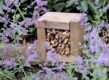 Houten frame met takken tussen bloeiende planten