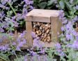 Houten frame met takken tussen bloeiende planten