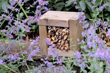 Houten frame met takken tussen bloeiende planten