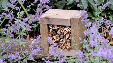 Houten frame met takken tussen bloeiende planten