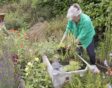 Vrouw maakt tijnvijver in tuin met veel bloemen en dichte beplanting voor tuindieren.