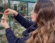 Anne Wieggers hangt een vogelslinger op in haar tuin.