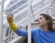 Vrouw maakt met een spons het glas van de kas in de tuin schoon.