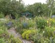 moestuinpad aanleggen met klinkers